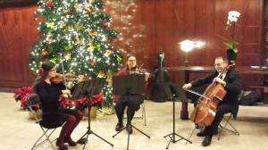 Encore Trio playing a Christmas Reception.
